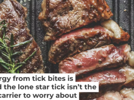 Steak and other red meats can trigger an allergic reaction in people with alpha-gal syndrome. Vicushka/Moment via Getty Images
